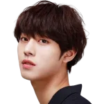 Ahn Hyo Seop