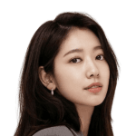Park Shin Hye