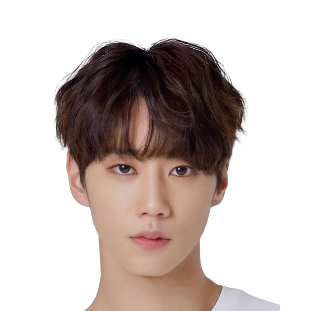 Lee Jun Young