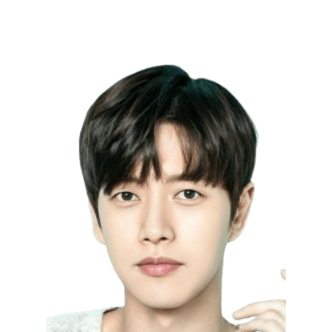 Park Hae Jin