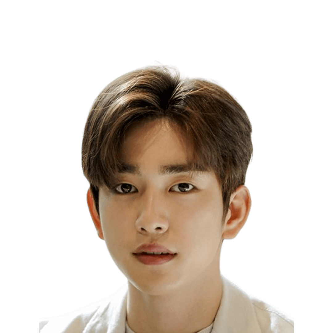Park Jin Young