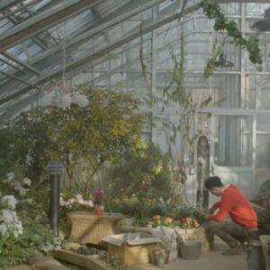 That Winter, the Wind Blows