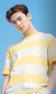 Poster for Cha Eun Woo’s ideal type: the one answer on record